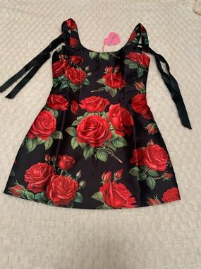Dolls Kill Sugar Thrillz Rose Pixie Dress, Size XS, NWT